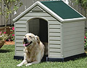 dog house TOWNSVILLE